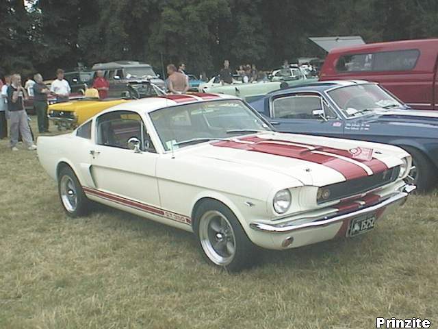 1966 Shelby Mustang GT-350