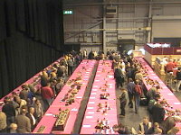 Scale Modelworld 2001 at Telford