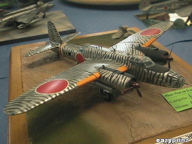 Nakajima Ki-49 Donryu